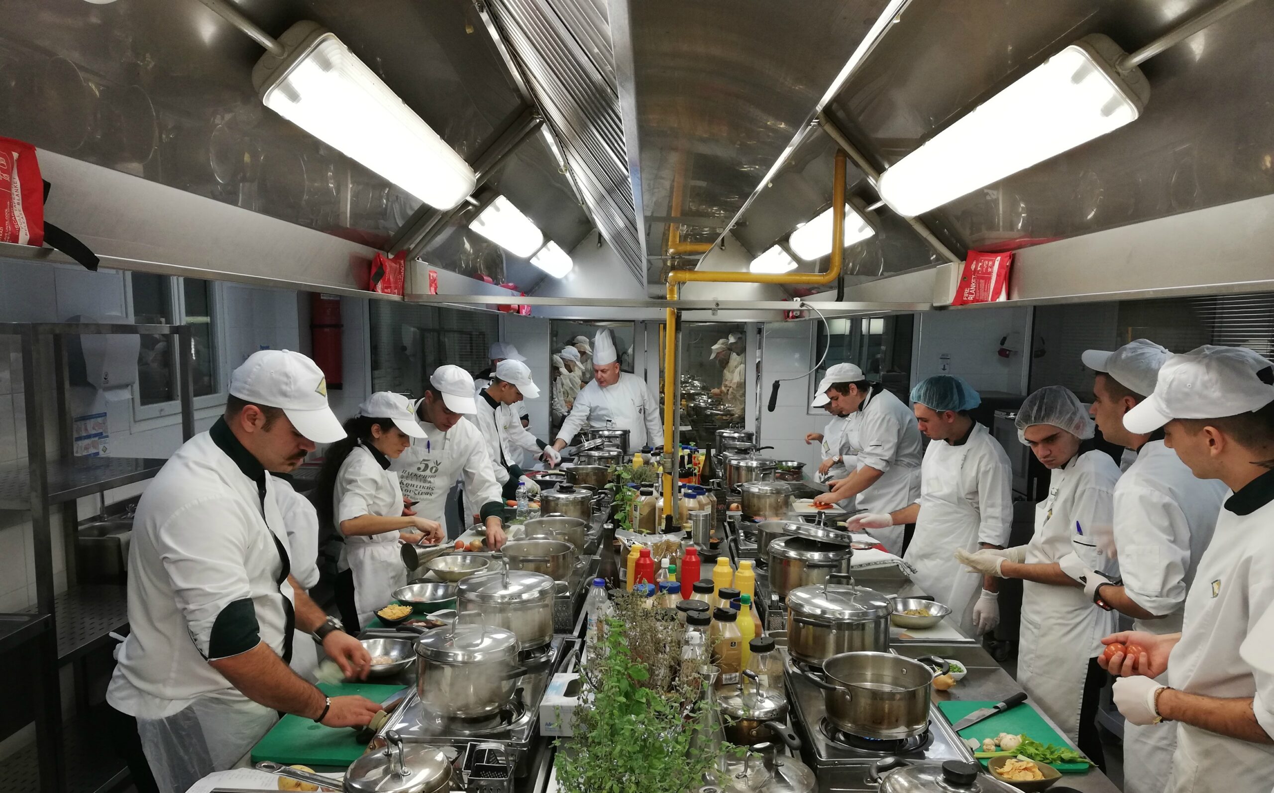 IMG 20181025 105246 scaled